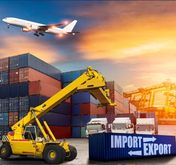 import export guidance